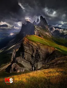 تصویر برداری در نور طبیعی